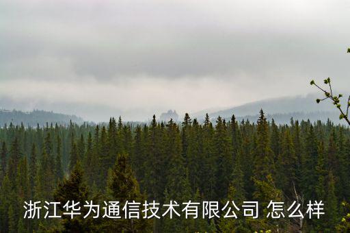 浙江華為通信技術有限公司 怎么樣