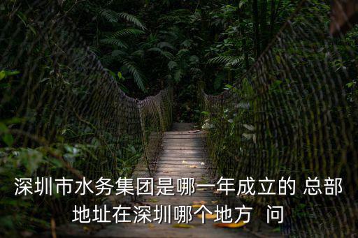 深圳市水務集團是哪一年成立的 總部地址在深圳哪個地方  問