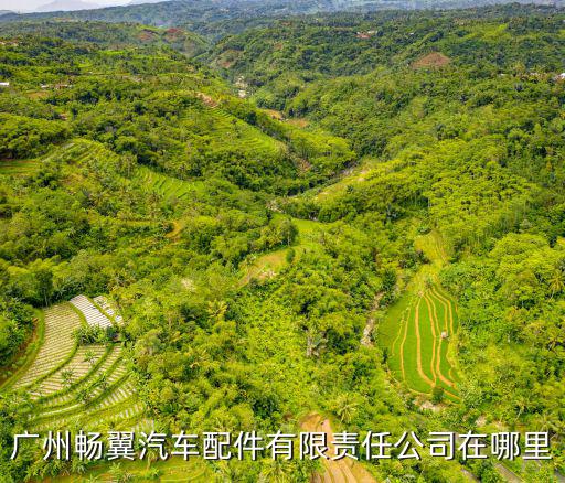 廣州暢翼汽車配件有限責任公司在哪里