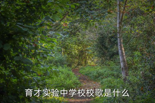 育才實驗中學校校歌是什么