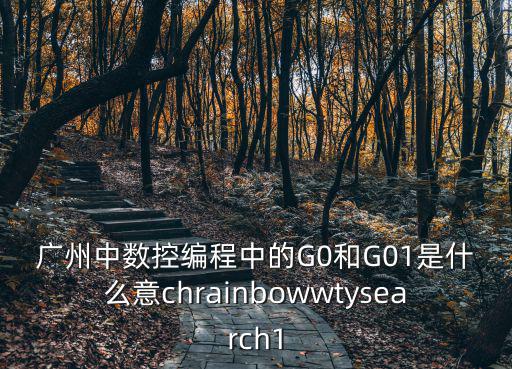 廣州中數(shù)控編程中的G0和G01是什么意chrainbowwtysearch1