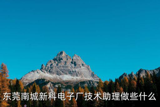 東莞南城新科電子廠技術助理做些什么