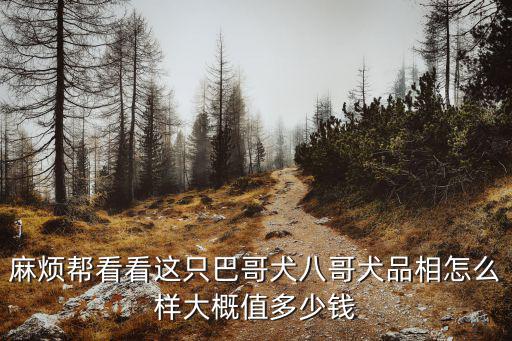 麻煩幫看看這只巴哥犬八哥犬品相怎么樣大概值多少錢