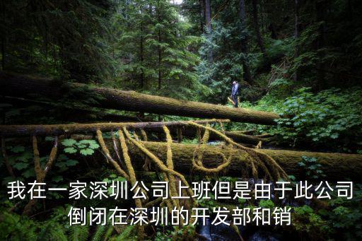 我在一家深圳公司上班但是由于此公司倒閉在深圳的開發(fā)部和銷