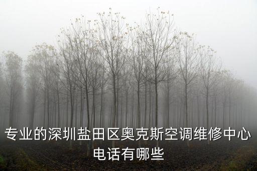 專業的深圳鹽田區奧克斯空調維修中心電話有哪些