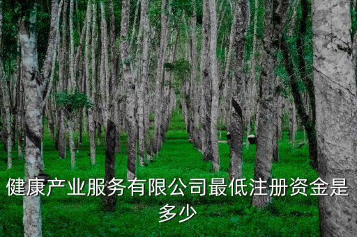 深圳健康產業(yè)容量，健康產業(yè)服務有限公司最低注冊資金是多少