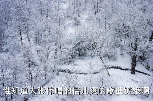 誰知道大張偉唱的倍兒爽的歌曲鏈接啊