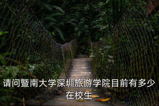 暨南大學深圳旅游學院，暨南大學深圳旅游學院到底有多小