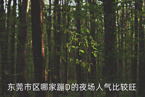 東莞市區哪家蹦D的夜場人氣比較旺