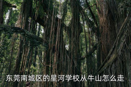 東莞市星河學校，東莞南城區的星河學校從牛山怎么走