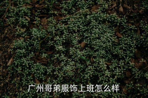 廣州咆哮哥視頻，廣州哥弟服飾上班怎么樣