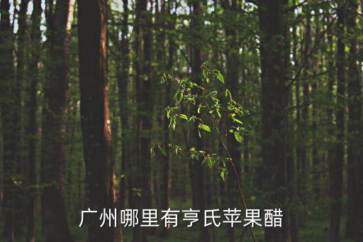 廣州哪里有亨氏蘋果醋