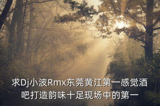 求Dj小波Rmx東莞黃江第一感覺酒吧打造韻味十足現場中的第一
