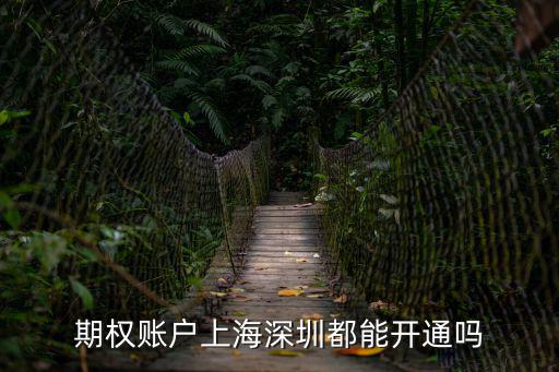 期權賬戶上海深圳都能開通嗎