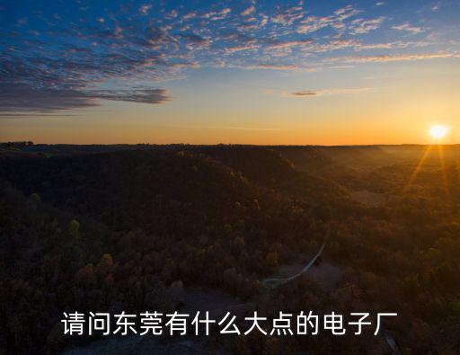 東莞盛行電子，東莞有哪些外資電子廠