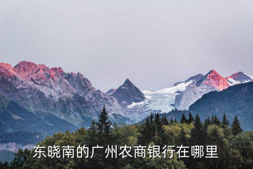 東曉南的廣州農(nóng)商銀行在哪里