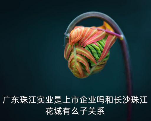 廣東珠江實業是上市企業嗎和長沙珠江花城有么子關系