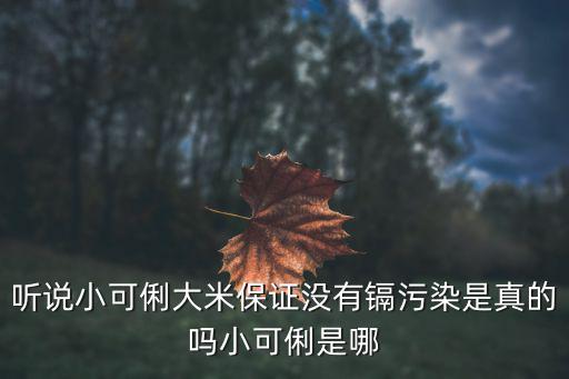 聽說小可俐大米保證沒有鎘污染是真的嗎小可俐是哪
