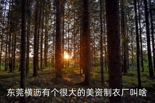 東莞明恒服飾有限公司，東莞哪有服裝廠手提包廠倒閉后的積壓貨