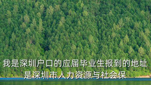 我是深圳戶口的應屆畢業生報到的地址是深圳市人力資源與社會保