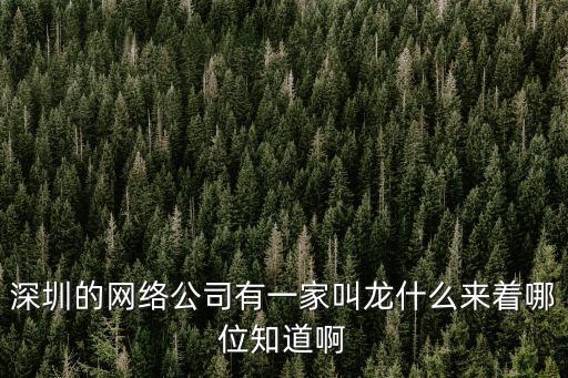 深圳的網絡公司有一家叫龍什么來著哪位知道啊