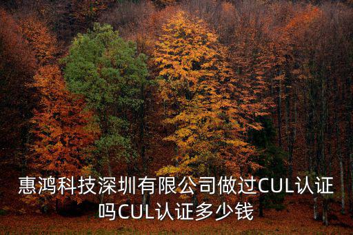 惠鴻科技深圳有限公司做過CUL認證嗎CUL認證多少錢