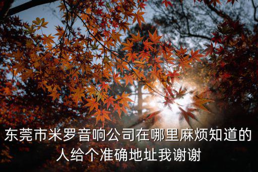 東莞市米羅音響公司在哪里麻煩知道的人給個準確地址我謝謝