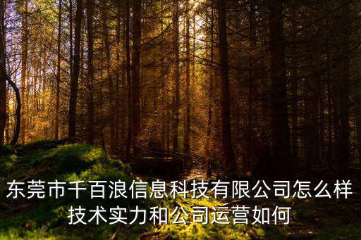 東莞市千百浪信息科技有限公司怎么樣技術實力和公司運營如何