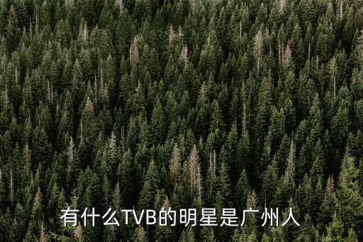 有什么TVB的明星是廣州人