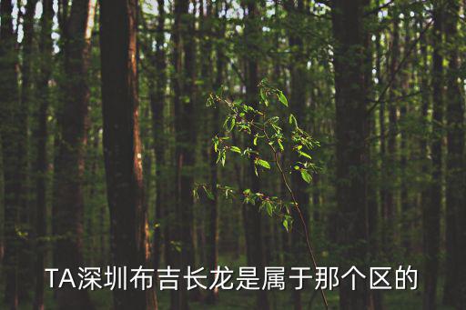 TA深圳布吉長龍是屬于那個區的