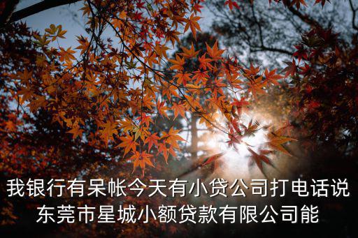 我銀行有呆帳今天有小貸公司打電話說東莞市星城小額貸款有限公司能