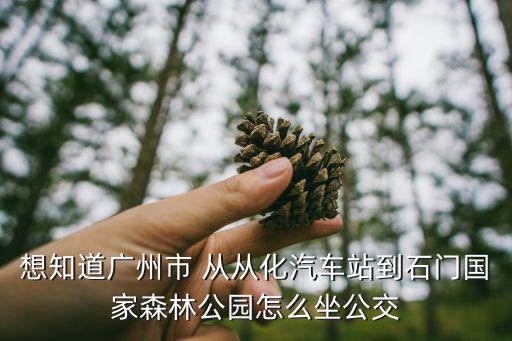 想知道廣州市 從從化汽車站到石門國(guó)家森林公園怎么坐公交