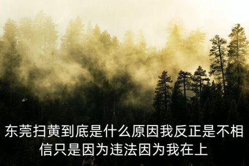 東莞掃黃到底是什么原因我反正是不相信只是因為違法因為我在上