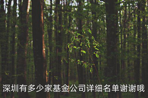 深圳有多少家基金公司詳細(xì)名單謝謝哦