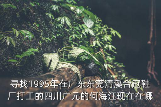 尋找1995年在廣東東莞清溪合冠鞋廠打工的四川廣元的何海江現在在哪