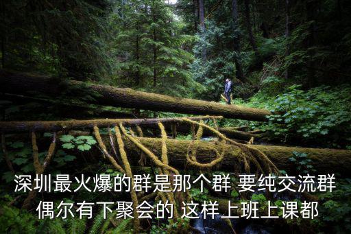 深圳兼職群，深圳最火爆的群是那個群 要純交流群 偶爾有下聚會的 這樣上班上課都