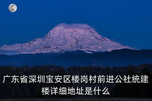 廣東省深圳寶安區樓崗村前進公社統建樓詳細地址是什么