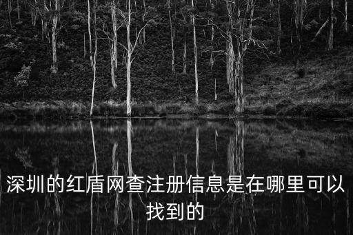 深圳的紅盾網查注冊信息是在哪里可以找到的