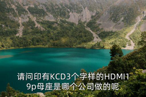 請問印有KCD3個字樣的HDMI19p母座是哪個公司做的呢