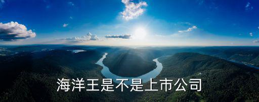海洋王是不是上市公司