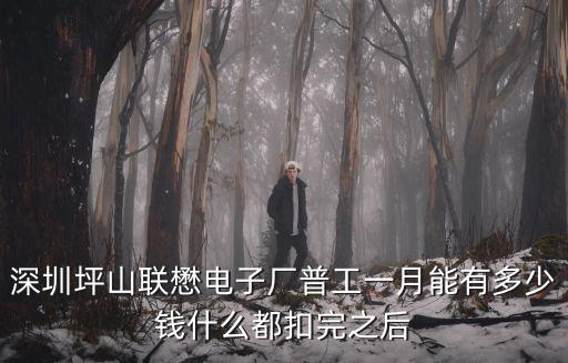 深圳坪山聯(lián)懋電子廠普工一月能有多少錢什么都扣完之后