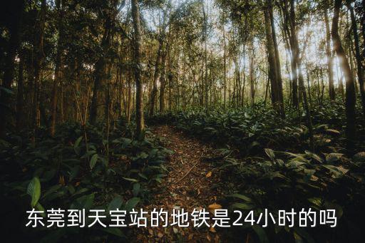 東莞到天寶站的地鐵是24小時(shí)的嗎