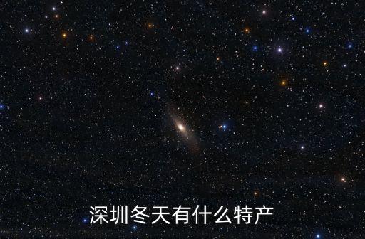 深圳冬天有什么特產