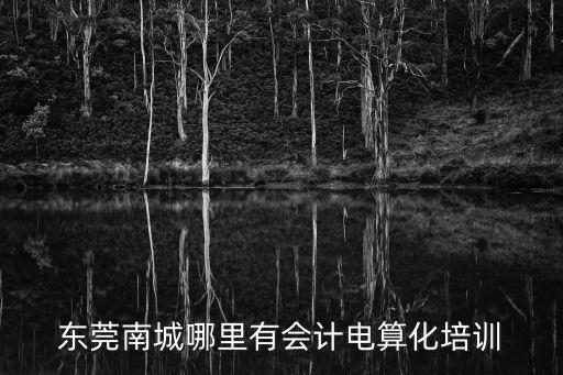 東莞南城哪里有會計電算化培訓(xùn)
