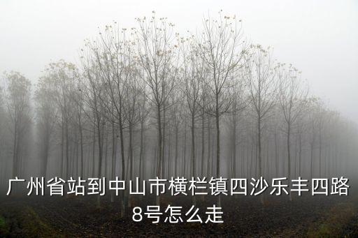 廣州省站到中山市橫欄鎮四沙樂豐四路8號怎么走