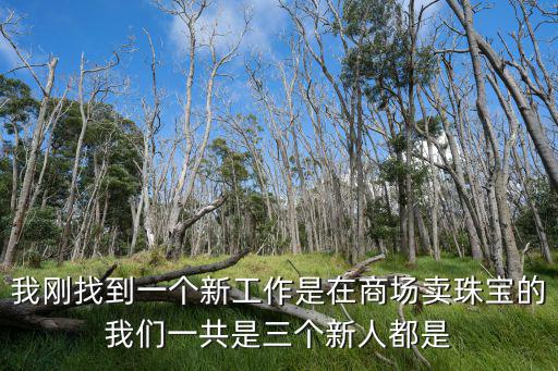 我剛找到一個新工作是在商場賣珠寶的我們一共是三個新人都是