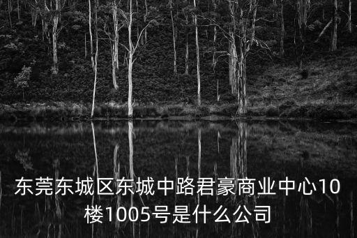 東莞東城區(qū)東城中路君豪商業(yè)中心10樓1005號(hào)是什么公司