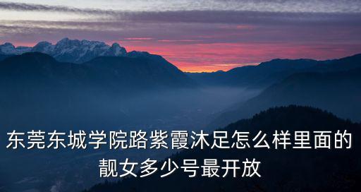 東莞伊泰沐足，東莞哪里沐足比較開放啊