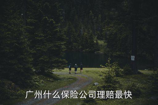 廣州市快速理賠點，廣州什么保險公司理賠最快