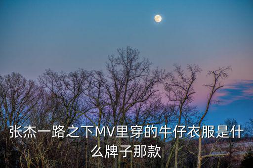 張杰一路之下MV里穿的牛仔衣服是什么牌子那款